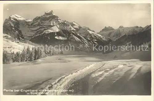 Engelberg OW Winterlandschaft mit Hahnen und Spannoerter Kat. Engelberg