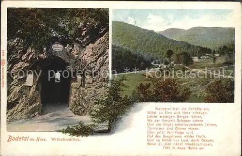 Bodetal Harz Wilhelmsblick Wanderer halt die Schritte ein Kat. Treseburg