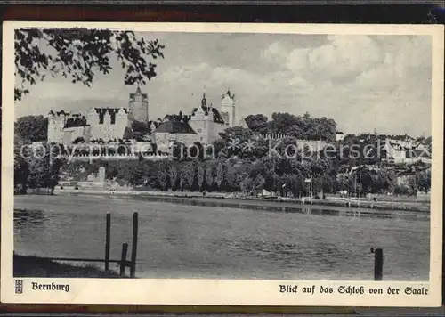 Bernburg Saale Blick auf das Schloss von der Saale Kat. Bernburg