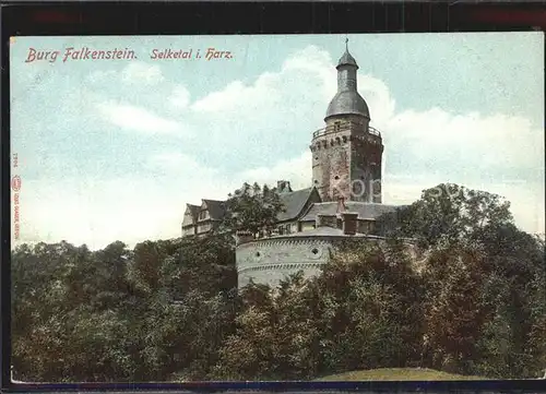 Harz Region Burg Falkenstein Selketal