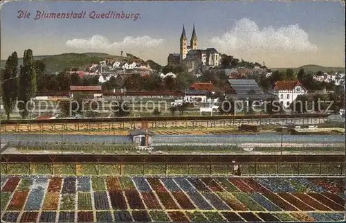 Quedlinburg Blumenstadt Kat. Quedlinburg