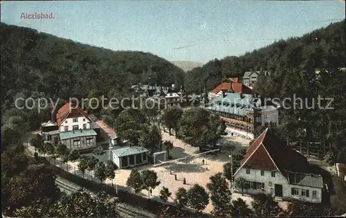 Alexisbad Harz Ortsansicht Kat. Harzgerode