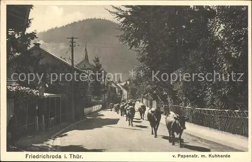 Bad Friedrichroda Von Papenstrasse mit Kuhherde Kat. Friedrichroda