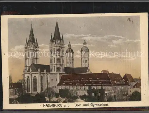 Naumburg Saale Dom und Gymnasium Kat. Naumburg