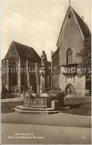 Naumburg Saale Dom und Ekkehard Brunnen Kat. Naumburg