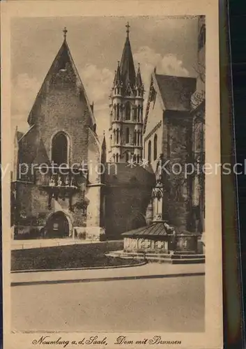 Naumburg Saale Dom mit Brunnen Kat. Naumburg