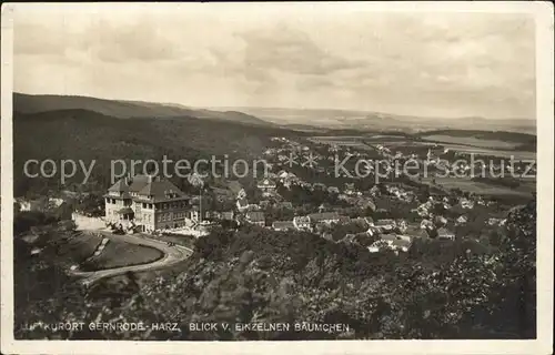 Gernrode Harz Blick von einzelnen Baeumchen Kat. Gernrode Harz