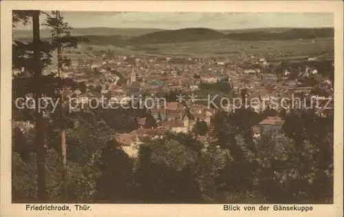 Friedrichroda Blick von der Gaensekuppe Kat. Friedrichroda