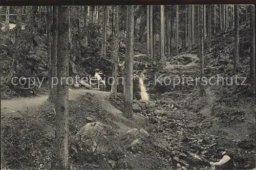 Friedrichroda Wasserfall im kuehlen Tal Kat. Friedrichroda