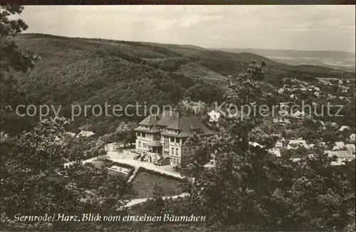 Gernrode Harz Blick vom einzelnen Baeumchen Kat. Gernrode Harz