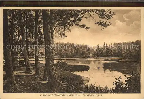 Gernrode Harz Silberteich Kat. Gernrode Harz