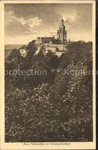 Gernrode Harz Burg Falkenstein Selketal Kat. Gernrode Harz