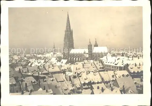 Foto Mueller Adolf Freiburg im Breisgau Muenster Kat. Freiburg im Breisgau