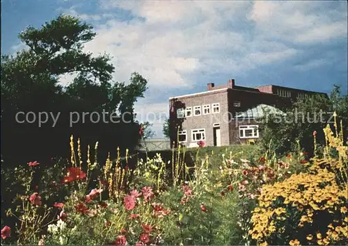 Seebuell Nolde Museum  Kat. Neukirchen