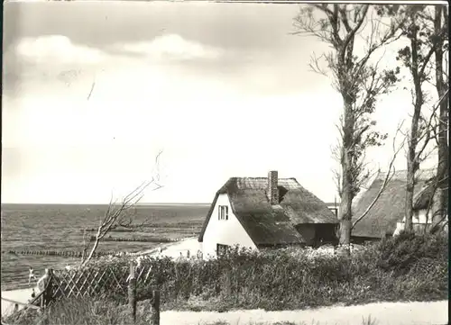 Ahrenshoop Ostseebad Steilufer / Ahrenshoop /Nordvorpommern LKR