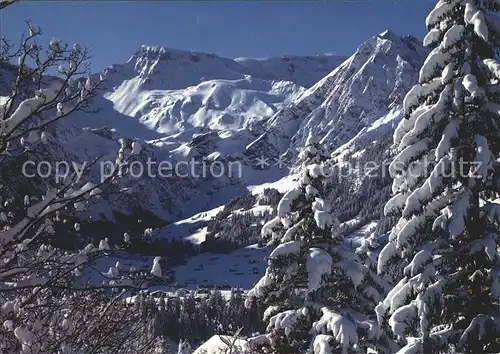 Adelboden Wildstrubel Fitzer Kat. Adelboden