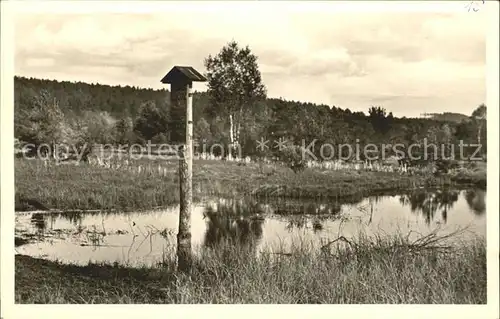 Schwenningen Neckar Neckarursprung im Schwenninger Moos / Villingen-Schwenningen /Schwarzwald-Baar-Kreis LKR