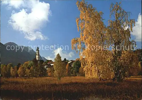 Reinhardtsgrimma Herbstliches Pfrontener Tal Kat. Reinhardtsgrimma