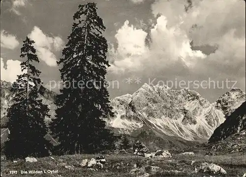 Oytal Die Wilden Kat. Oberstdorf