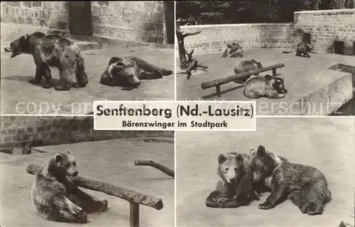 Senftenberg Niederlausitz Baerenzwinger im Stadtpark Kat. Senftenberg