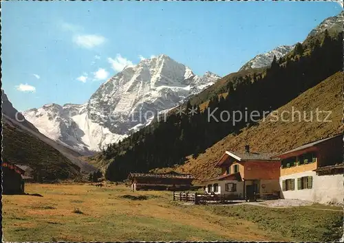 Stubaital Pinnisalm mit Habicht Kat. Neustift im Stubaital