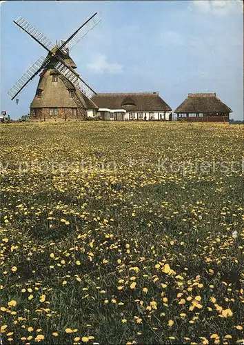 Dorf Mecklenburg Erdhollaendermuehle Gaststaette Kat. Dorf Mecklenburg