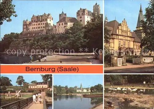 Bernburg Saale Schloss Kreiskulturhaus Eiscafe Baerenburg Indianerdorf Tierpark Kat. Bernburg