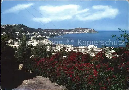 Lacco Ameno Panorama Kat. Ischia Insel Golfo di Napoli