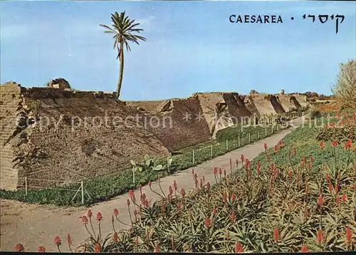 Caesarea Israel Crusaders City Wall Kat. Israel