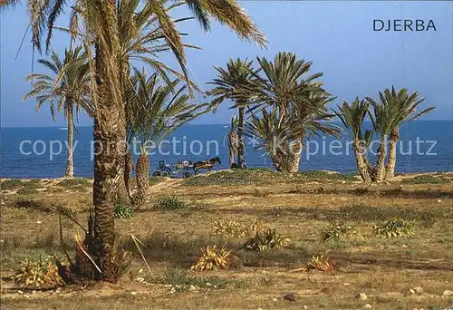 Djerba Kutsche Kat. Djerba