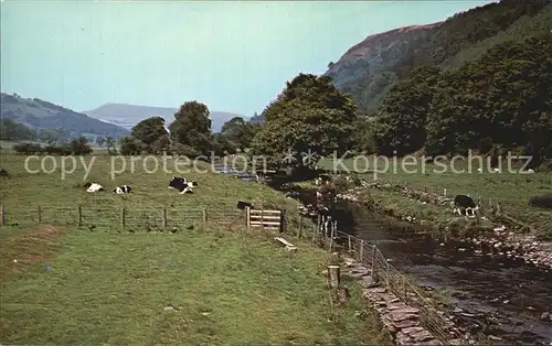 Llanarmon Dyffryn Ceiriog River Ceiriog