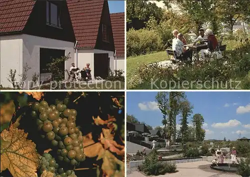 Gunderath Vendorado Ferienpark Heilbachsee Garten Obstbaum Kat. Gunderath