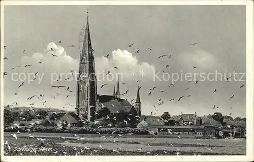 Schleswig Holstein Dom Moewen Kat. Schleswig