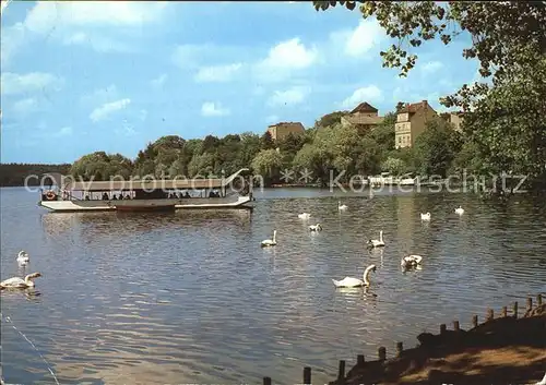 Strausberg Brandenburg Stausee Schwaene Kat. Strausberg