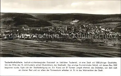 Tauberbischofsheim Panorama Kat. Tauberbischofsheim