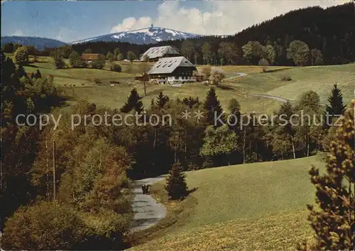 Hinterzarten Blick zum Feldberg Kat. Hinterzarten