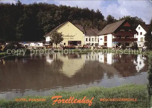 Bescheid Hermeskeil Hotel Pension Forellenhof Bescheidermuehle Kat. Bescheid