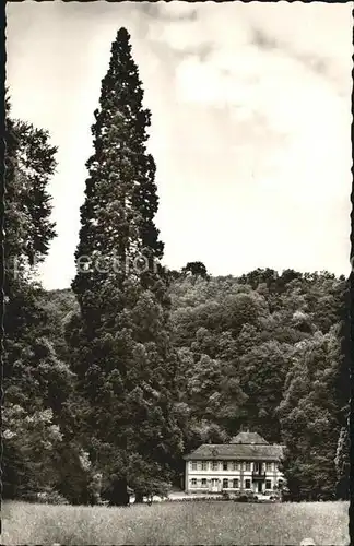 Auerbach Bergstrasse Deutschlands aeltester und hoechster Mammutbaum Fuerstenlager mit Herrenhaus Kat. Bensheim