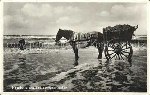 Noordwijk aan Zee  Schelpenvisscher Kat. Noordwijk