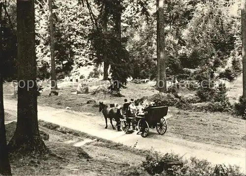 Tabarz Lauchagrund Pferdekutsche Kat. Tabarz Thueringer Wald