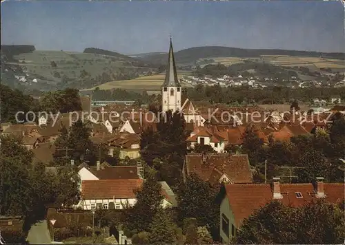 Michelstadt Blick vom Ehrenmal Kat. Michelstadt