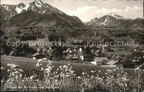 Bergen Chiemgau Panorama mit Hochfelln und Hochgern Chiemgauer Alpen Blumenwiese Kat. Bergen