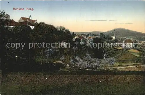 Bad Iburg Ortsansicht mit Schloss Kat. Bad Iburg