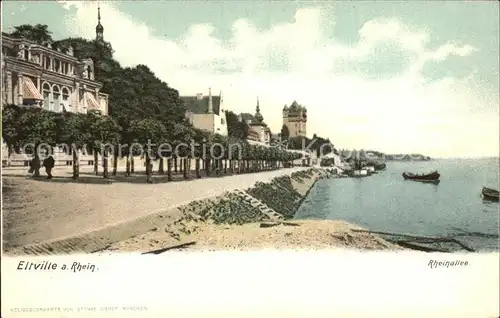 Eltville Rhein Rheinpartie Kat. Eltville am Rhein