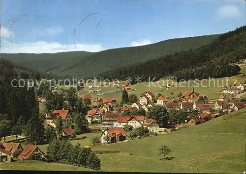 Obertal Baiersbronn Ortsansicht Kat. Baiersbronn