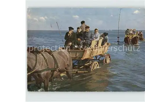 Sahlenburg Nordseebad Wattwagen im Priel auf der Fahrt nach der Insel Neuwerk Kat. Cuxhaven