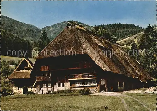 Gutachtal Vogtshof im Schwarzwald Kat. Gutach