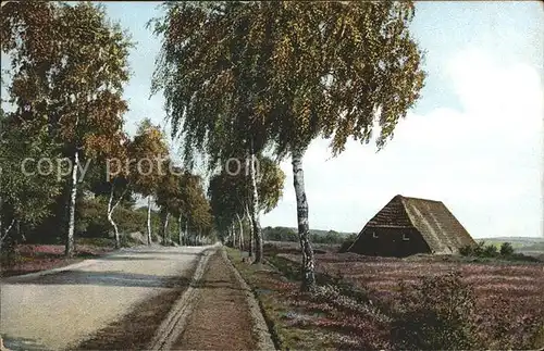 Lueneburger Heide Motiv bei Garlstorf Kat. Walsrode