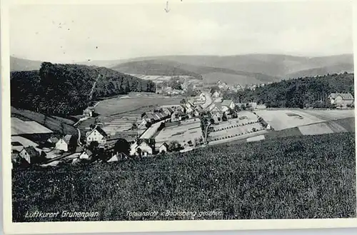 Gruenenplan  / Delligsen /Holzminden LKR