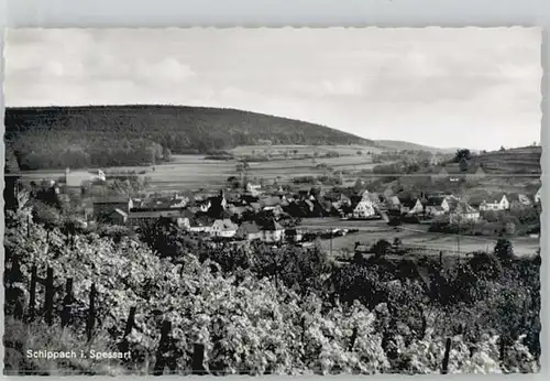 Schippach Miltenberg  / Miltenberg /Miltenberg LKR